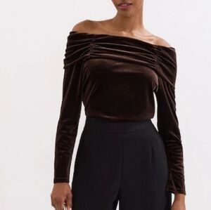 MSK Brown Velvet Top
